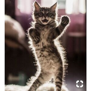 Meet your Posher, Thelisa